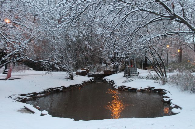 Krutch Park, Knoxville, January 2013
