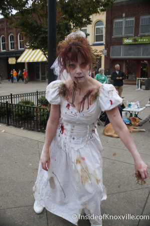 Wendy Seaward, Zombie, Market Square, Knoxville, October 2013