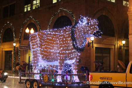 Mayfield Cow at the Knoxville Christmas Parade 2013