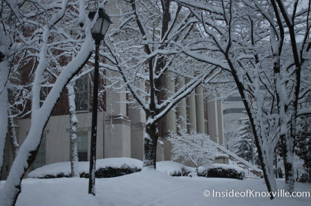 LMU Law School, Knoxville in the Snow, February 13, 2014