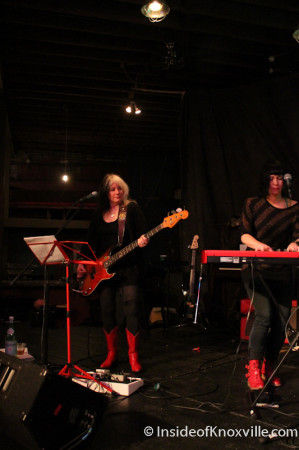 Lou Reed Tribute, Waynestock, Relix Theater, Knoxville, February 2014