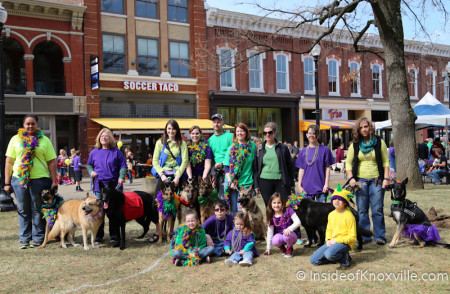Mardi Growl, Knoxville, March 2014