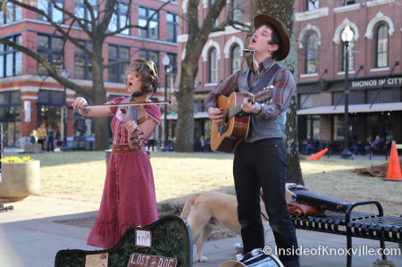 Lost Dog Street Band, Market Square, Knoxville, March 2014