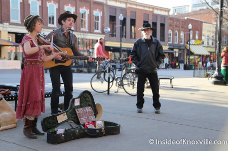 Lost Dog Street Band, Market Square, Knoxville, March 2014