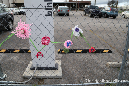 Crocheted flowers on the fence, Rhythm and Blooms Festival, Knoxville, April 2014