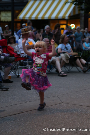 Crowd Shots, Bob Dylan Bash, Market Square, Knoxville, June 2014