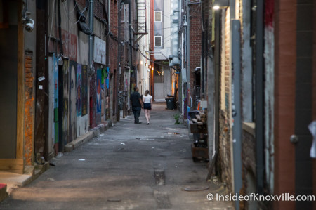 Couple viewing the art in Armstrong/Strong Alley, Knoxville, July 2014