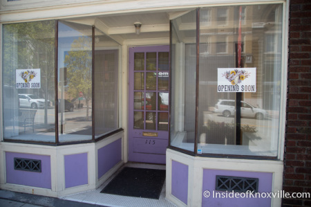 Future Home of Bula Boutique, 115 South Gay Street, Knoxville, September 2014