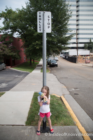 Trolley Stops are well labeled: Urban Girl and a slightly nervous Jiminy Cricket Wait for the Trolley on Locust Street, Knoxville, August 2014