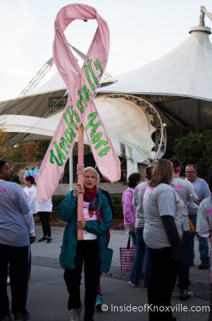 Race for the Cure, World's Fair Park, Knoxville, October 2014