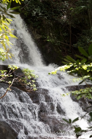 Laurel Falls, Great Smoky Mountains National Park, Summer 2014