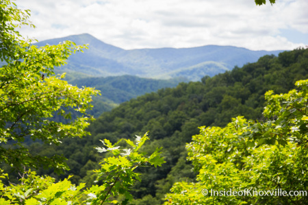 Vista from the Trail to Laurel Falls, Great Smoky Mountains National Park, Summer 2014