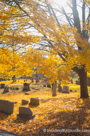 Old Gray Cemetery, Knoxville, November 2014