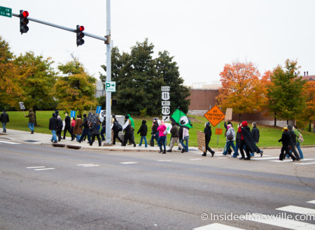 Million Mask March, Knoxville, November 2014
