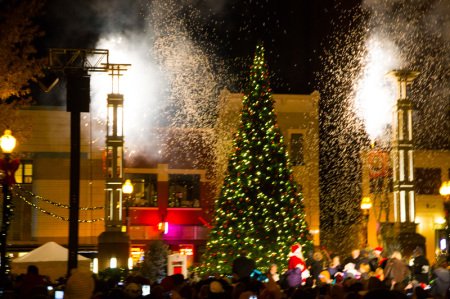 Lighting of the Christmas Tree, Celebration of Lights, Knoxville, November 2014