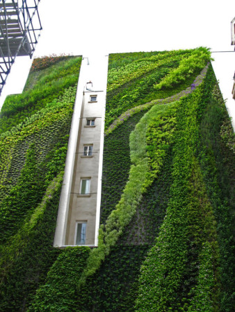 Vertical Garden in Paris
