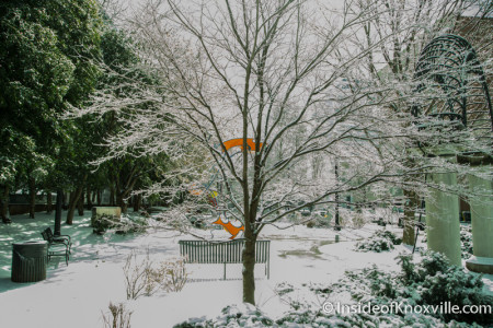 Ice in Krutch Park, Knoxville, February 2015