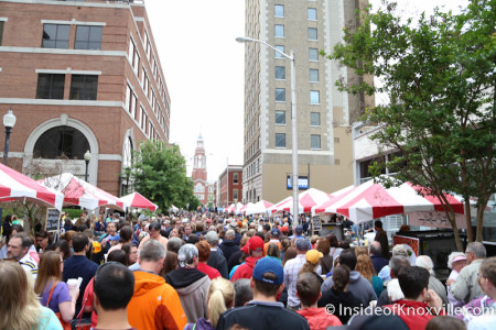 International Biscuit Festival, Knoxville, May 2014