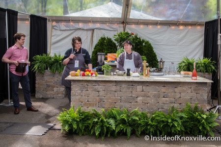Culinary Arts Tent, Dogwood Arts Market Square Art Market, Knoxville, Spring 2015