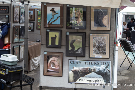 Dogwood Arts on Market Square, Knoxville, Spring 2015