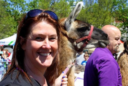 Erin Donovan of Visit Knoxville, with her llama, gets ready to race against Marc Anthony of Star 102.1 and others. (Photo Heidi Hornick)
