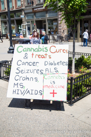 Knoxville Cannabis Hemp Rally, Market Square, Knoxville, May 2015