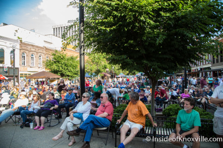 Bob Dylan Birthday Bash, Market Square, Knoxville, June 2015