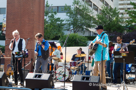 Tall Paul and Friends, Bob Dylan Birthday Bash, Market Square, Knoxville, June 2015