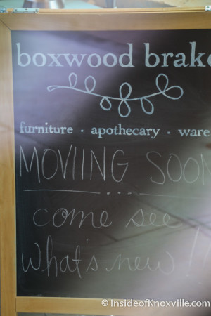 Boxwood Brake Closing in Downtown Knoxville, June 2015