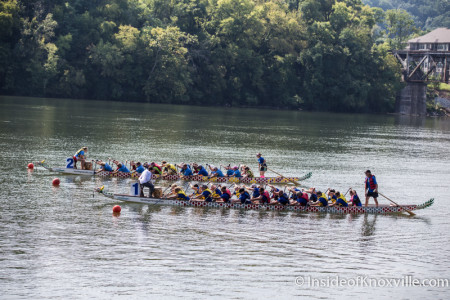 Dragonboat Races, Tennessee River, Knoxville, August 2015