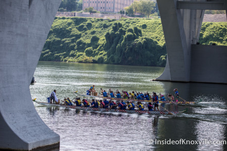 Dragonboat Races, Tennessee River, Knoxville, August 2015