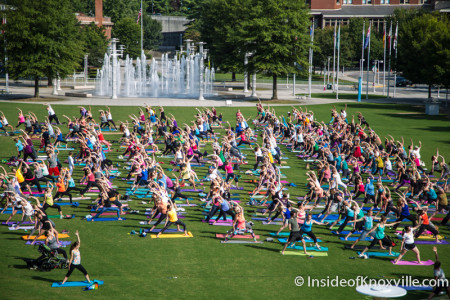 Yoga at the World's Fair Park, Knoxville, August 2015