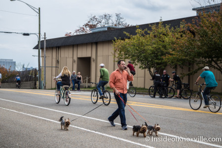 Open Streets Knoxville, Central Street, Knoxville, October 2015