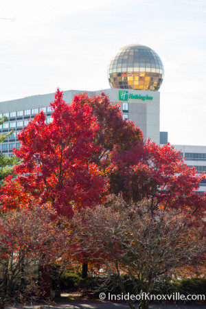 Thanksgiving Day in the City, Knoxville, November 2015