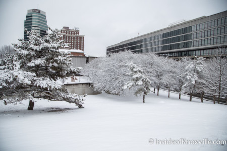 Snow in the City, Knoxville, Winter 2015 (Since all we can do is dream of a white Christmas.)