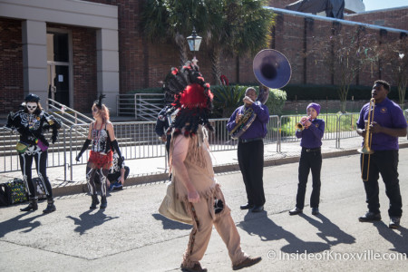 Joe Cain Parade and More, Mardi Gras, Mobile Alabama, February 7, 2016