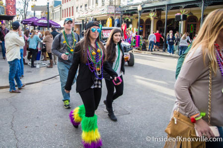 Scenes from Mardi Gras, Mobile Alabama, February 6, 2016