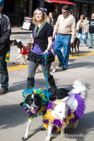 Mardi Growl, Knoxville, March 2016