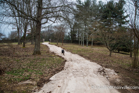 Walking Trail, Knoxville Botanical Garden and Arboretum, 2743 Wimpole Ave., Knoxville, February 2016