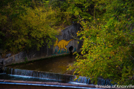 Dinosaur on First Creek, Knoxville, Ocboter 2016
