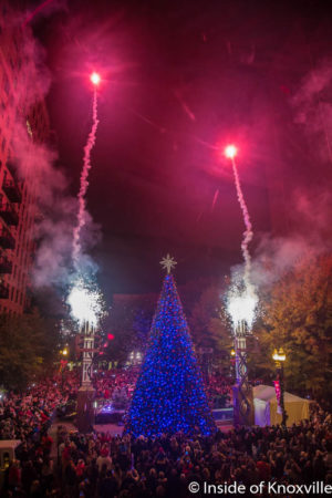 Lighting of the Christmas Tree, Krutch Park Extension, Knoxville, November 2016