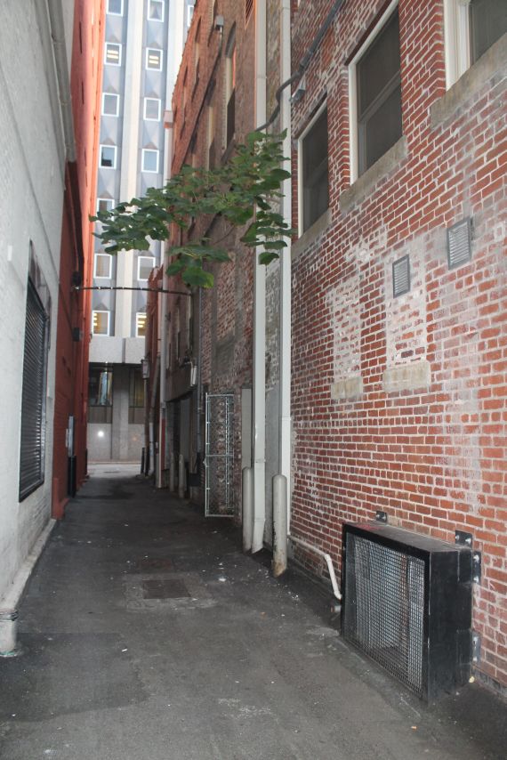 Project to Beautify Downtown Alleyway | Inside of Knoxville