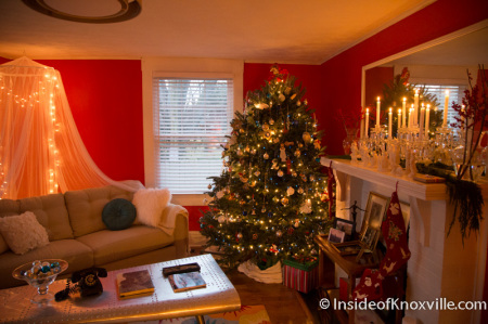 Old North Victorian Knoxville Holiday Home Tour 2014 | Inside of Knoxville