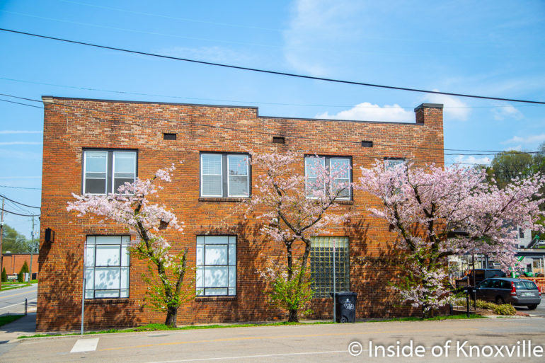 Photos From Around the City Inside of Knoxville