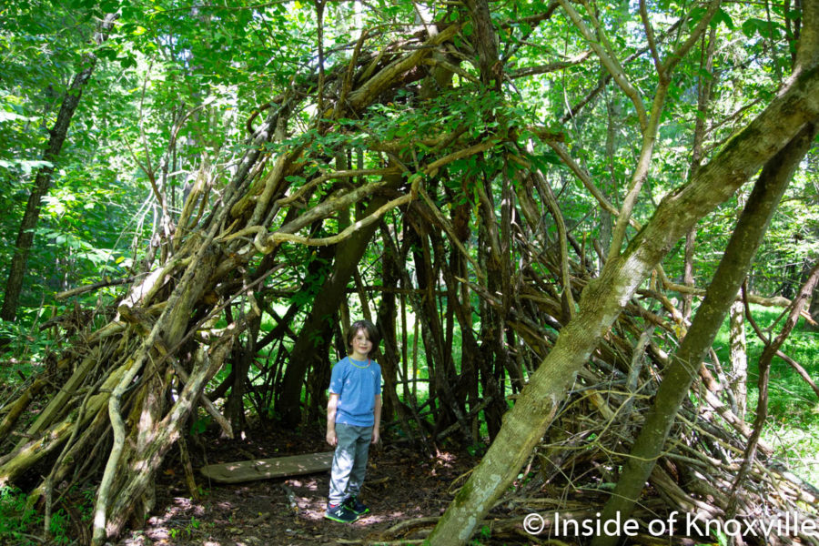 Seven Islands State Birding Park Is A Great In County Getaway Inside Of Knoxville 