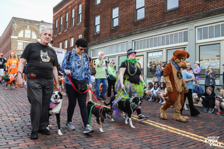 Mardi Growl Provides a Day of Carnival Canine Celebration Inside of