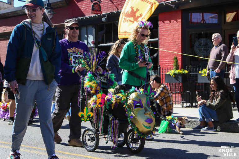 Mardi Growl Brightens Up the City Inside of Knoxville