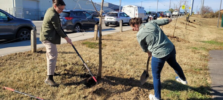 Trees Knoxville: Growing the Urban Canopy One Tree at a Time | Inside ...